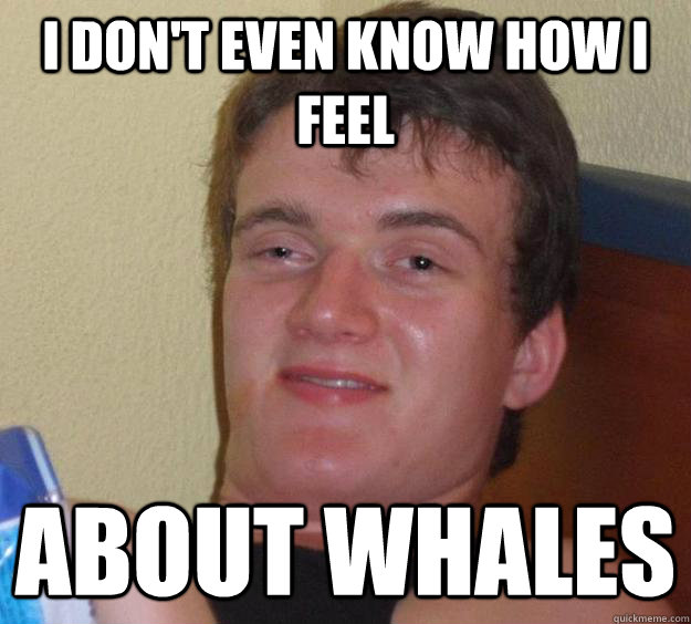 I don't even know how I feel about whales  10 Guy