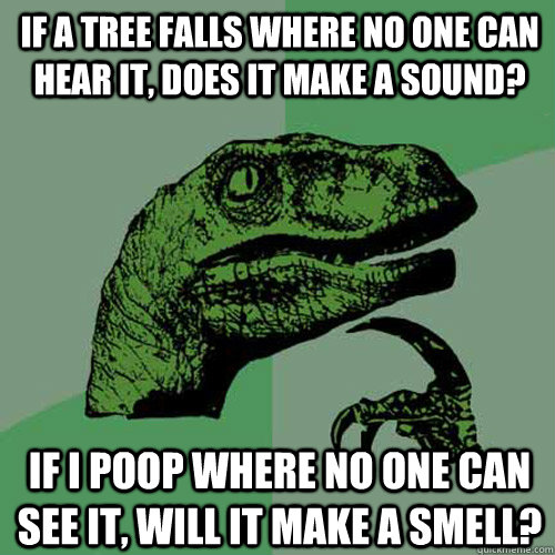 If a tree falls where no one can hear it, does it make a sound? If i poop where no one can see it, will it make a smell? - If a tree falls where no one can hear it, does it make a sound? If i poop where no one can see it, will it make a smell?  Philosoraptor