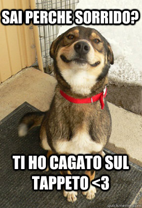 Sai perche sorrido? ti ho cagato sul tappeto <3 - Sai perche sorrido? ti ho cagato sul tappeto <3  Good Dog Greg