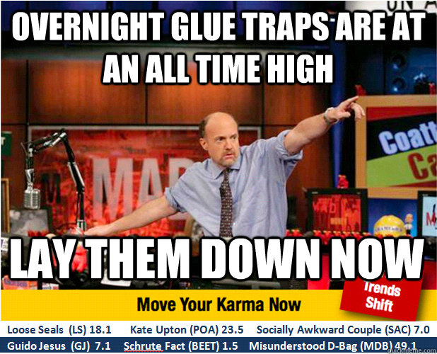 Overnight Glue Traps are at an all time high lay them down now  Jim Kramer with updated ticker