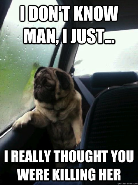 I don't know man, I just... I really thought you were killing her  Introspective Pug