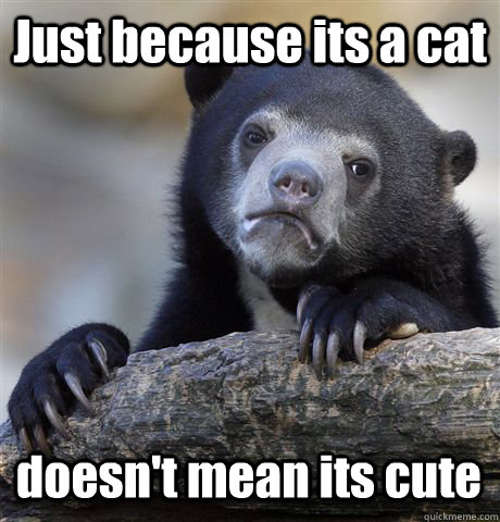 Just because its a cat doesn't mean its cute    Confession Bear