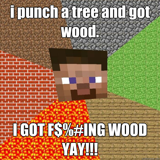 i punch a tree and got wood. I GOT F$%#ING WOOD YAY!!!  Minecraft