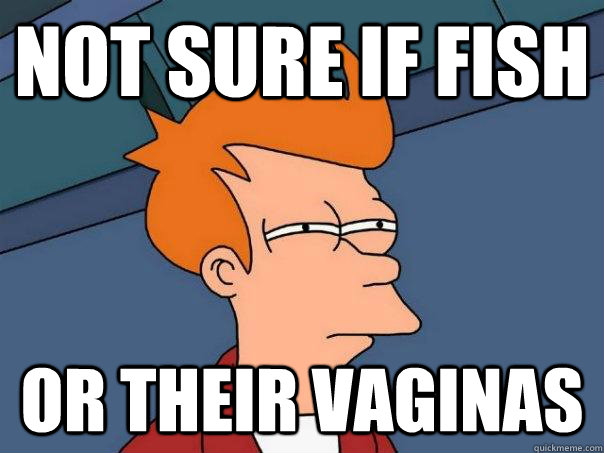 Not sure if fish or their vaginas  Futurama Fry