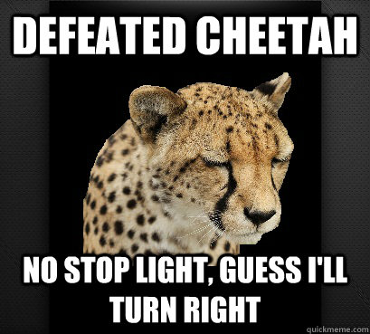 Defeated cheetah no stop light, guess i'll turn right  Defeated Cheetah