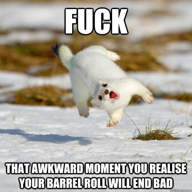 FUCK that awkward moment you realise your barrel roll will end bad  