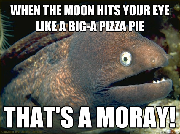 When the moon hits your eye like a big-a pizza pie That's a moray!  Bad Joke Eel