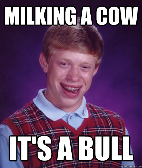 milking a cow it's a bull  Bad Luck Brian