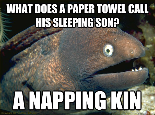 What does a paper towel call his sleeping son? A napping kin - What does a paper towel call his sleeping son? A napping kin  Bad Joke Eel