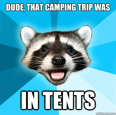 DUDE, THAT CAMPING TRIP WAS IN TENTS  Lame Pun Coon