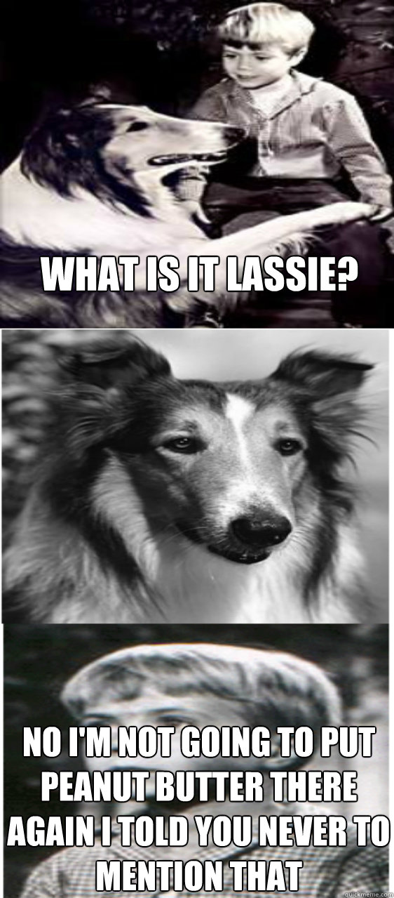 What is it lassie?  No I'm not going to put peanut butter there again I told you never to mention that  