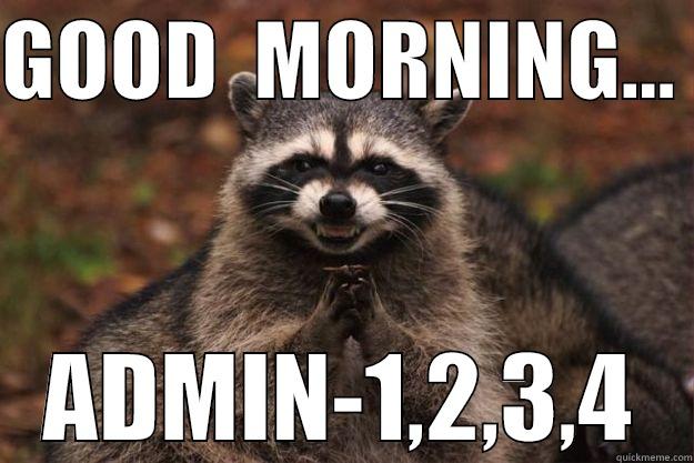 GOOD  MORNING...  ADMIN-1,2,3,4 Evil Plotting Raccoon