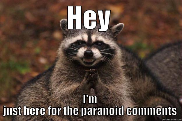 HEY I'M JUST HERE FOR THE PARANOID COMMENTS Evil Plotting Raccoon