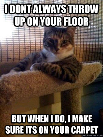 I dont always throw up on your floor but when I do, i make sure its on your carpet  The Most Interesting Cat in the World