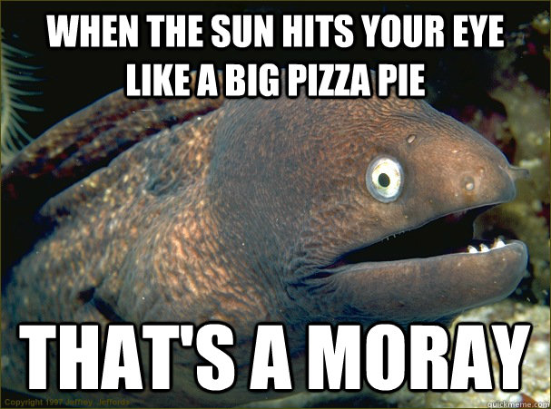 When the sun hits your eye like a big pizza pie That's A Moray  Bad Joke Eel