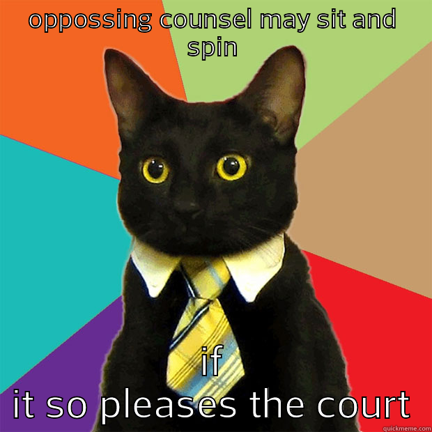 OPPOSSING COUNSEL MAY SIT AND SPIN IF IT SO PLEASES THE COURT Business Cat