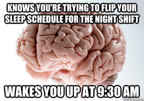 Knows you're trying to flip your sleep schedule for the night shift wakes you up at 9:30 AM  Scumbag Brain