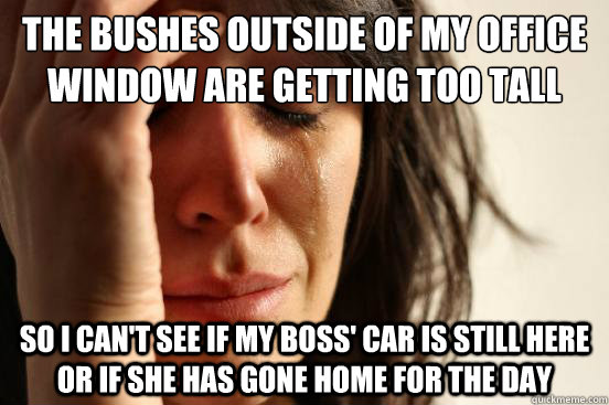 the bushes outside of my office window are getting too tall so i can't see if my boss' car is still here or if she has gone home for the day - the bushes outside of my office window are getting too tall so i can't see if my boss' car is still here or if she has gone home for the day  First World Problems