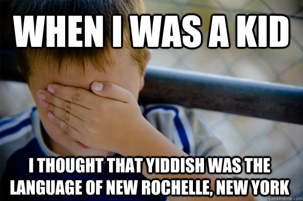 When I was a kid I thought that Yiddish was the language of New Rochelle, New York - When I was a kid I thought that Yiddish was the language of New Rochelle, New York  Misc