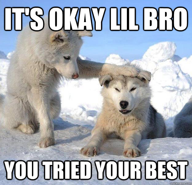 It's okay lil bro You tried your best  Caring Husky