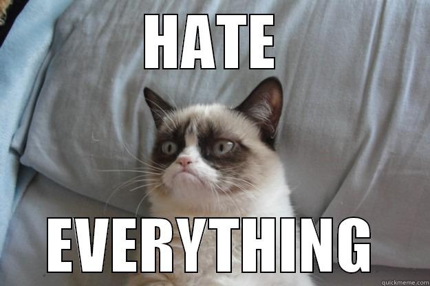 HATE EVERYTHING Grumpy Cat