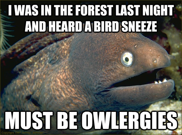 I was in the Forest last night and heard a bird sneeze must be owlergies  Bad Joke Eel