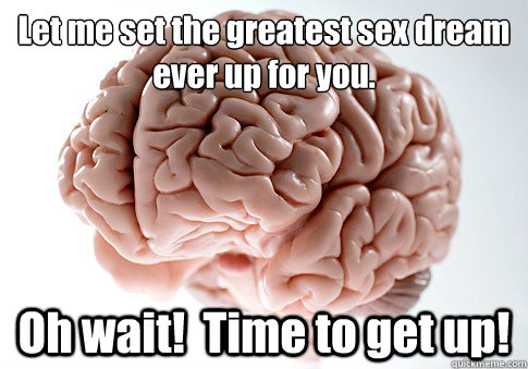 Let me set the greatest sex dream ever up for you. Oh wait!  Time to get up!  Scumbag Brain