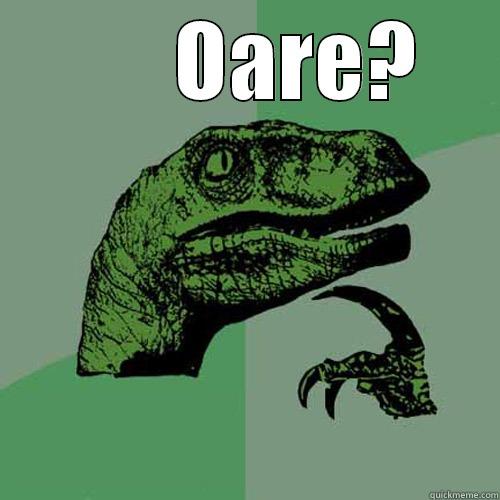 Oare dragule? -       OARE?  Philosoraptor