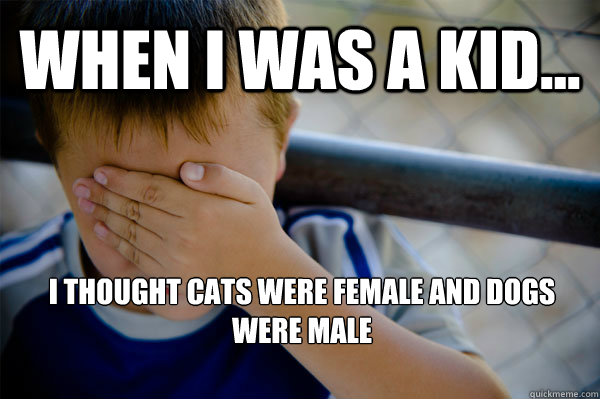 WHEN I WAS A KID... I thought cats were female and dogs were male  Confession kid