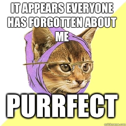 It appears everyone has forgotten about me Purrfect - It appears everyone has forgotten about me Purrfect  Hipster Kitty