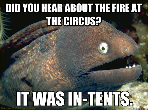 Did you hear about the fire at the circus? It was in-tents.  Bad Joke Eel