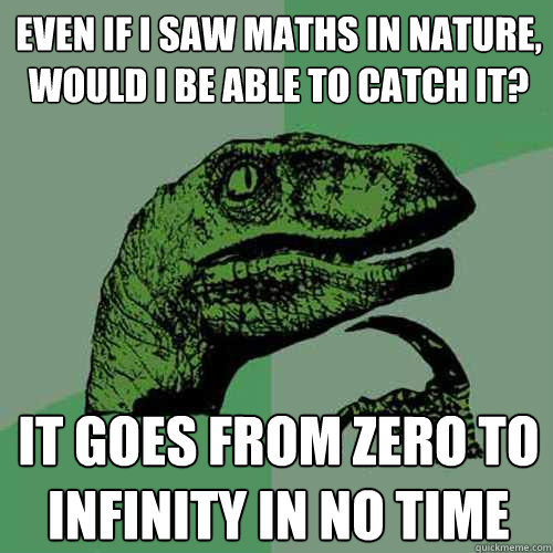 Even if I saw maths in nature, would I be able to catch it? It goes from zero to infinity in no time  Philosoraptor