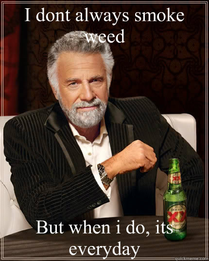 I dont always smoke weed But when i do, its everyday  The Most Interesting Man In The World