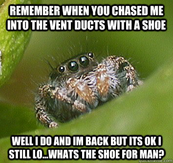 remember when you chased me into the vent ducts with a shoe well i do and im back but its ok i still lo...whats the shoe for man?  Misunderstood Spider