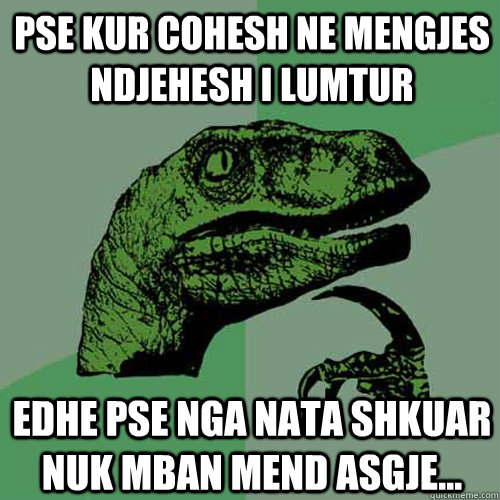 pse kur cohesh ne mengjes ndjehesh i lumtur edhe pse nga nata shkuar nuk mban mend asgje...  Philosoraptor