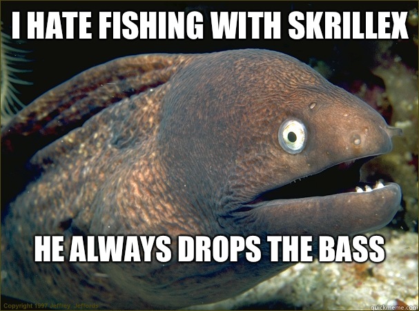 I hate fishing with Skrillex He always drops the bass
  Bad Joke Eel