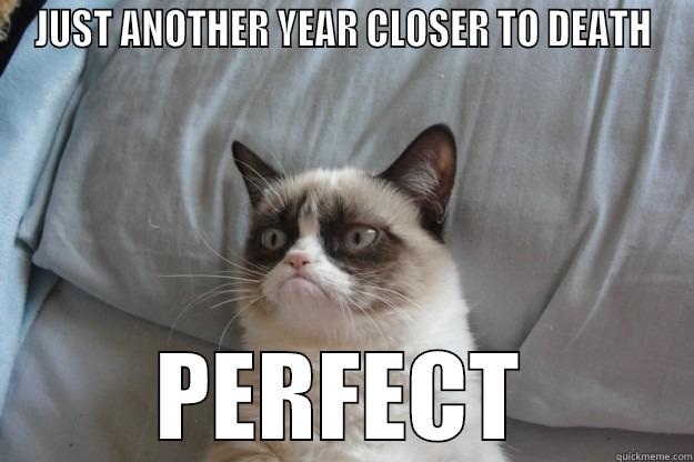 JUST ANOTHER YEAR CLOSER TO DEATH PERFECT Grumpy Cat