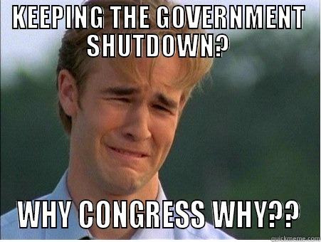 KEEPING THE GOVERNMENT SHUTDOWN? WHY CONGRESS WHY?? 1990s Problems