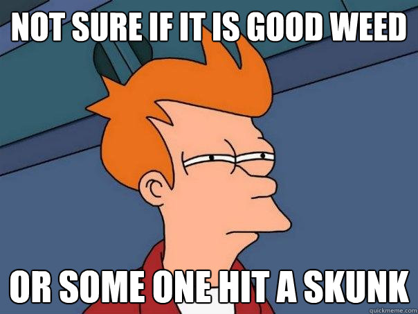 Not sure if it is good weed or some one hit a skunk  Futurama Fry