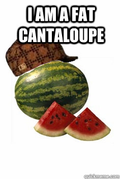 i am a fat cantaloupe   