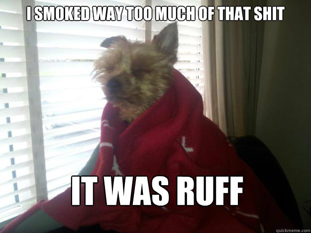 I smoked way too much of that shit It was ruff - I smoked way too much of that shit It was ruff  Misc