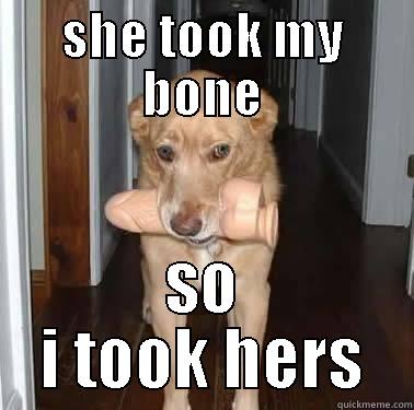 dog bone - SHE TOOK MY BONE SO I TOOK HERS Misc