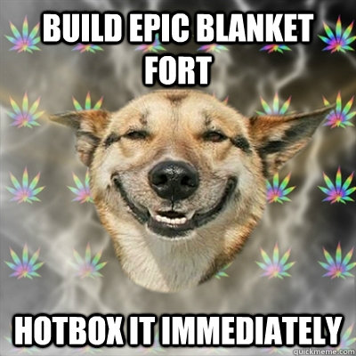 Build epic blanket fort hotbox it immediately - Build epic blanket fort hotbox it immediately  Stoner Dog