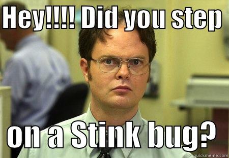 HEY!!!! DID YOU STEP    ON A STINK BUG?  Schrute