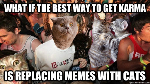 What if the best way to get karma is replacing memes with cats  