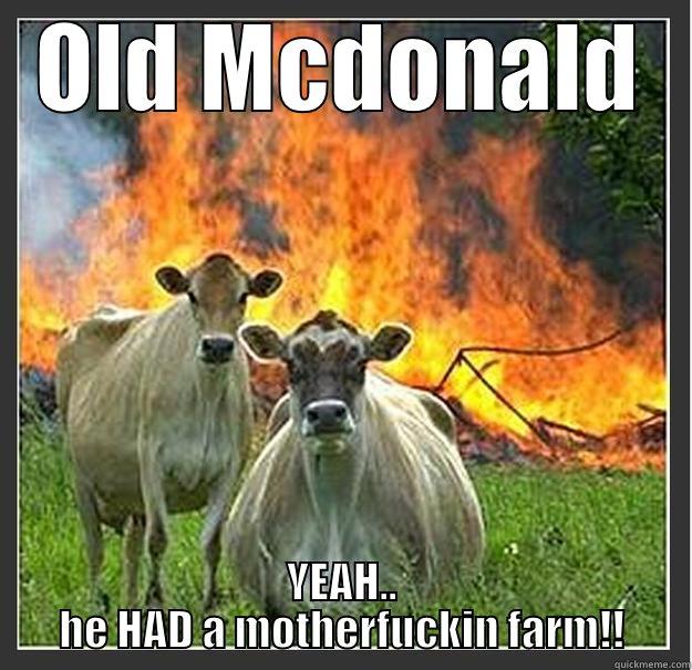 barnburner cattle - OLD MCDONALD YEAH.. HE HAD A MOTHERFUCKIN FARM!! Evil cows