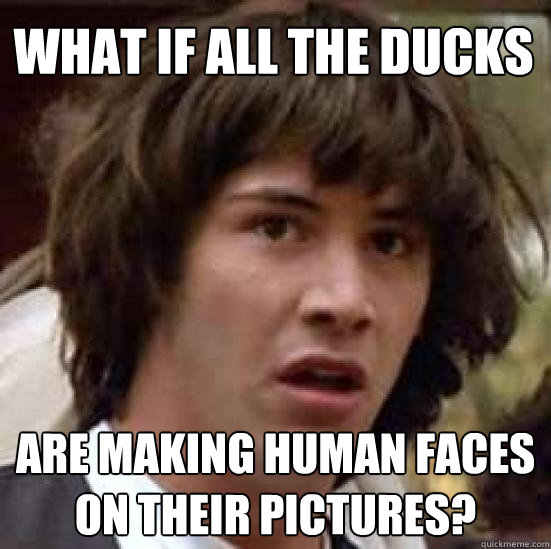 WHAT IF ALL THE DUCKS ARE MAKING HUMAN FACES ON THEIR PICTURES?  conspiracy keanu