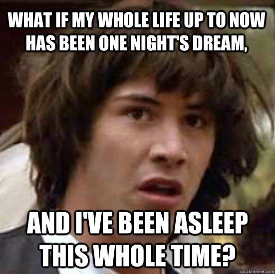 What if my whole life up to now has been one night's dream, And I've been asleep this whole time?  conspiracy keanu