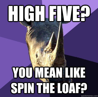 high five? you mean like spin the loaf?  Sexually Oblivious Rhino