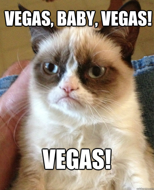  Vegas, baby, Vegas! Vegas!  Grumpy Cat